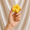 Bloom Flower Hair Claw Clip | KEYUMI